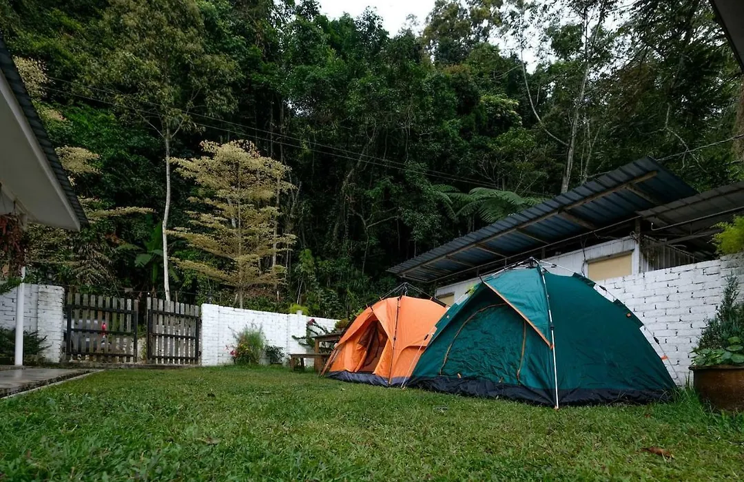 Tung'S Factoria Cameron Highland-1